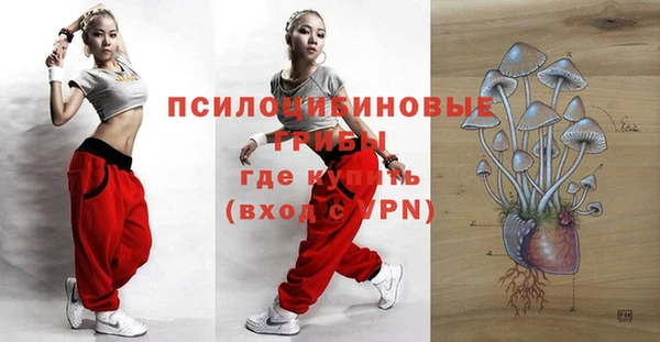 хмурый Волосово